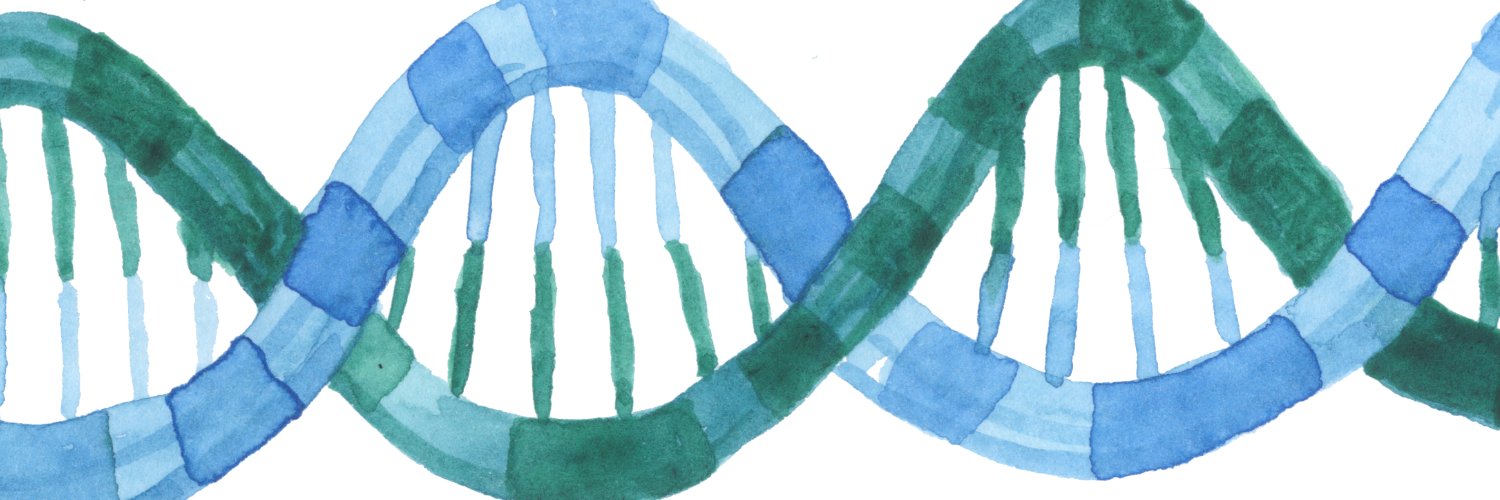 Hadley Stevens Smith banner