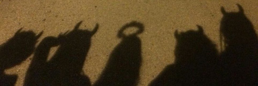 Mariaabeatriz17's profile banner image