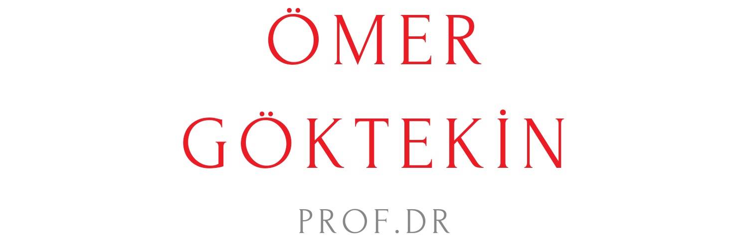 ogoktekin's profile banner image