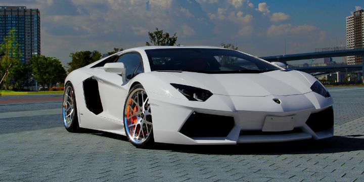 sauris2012's profile banner image
