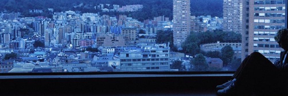 _wildflowerlrh's profile banner image