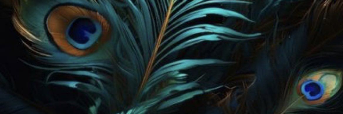 EbruAygar's profile banner image