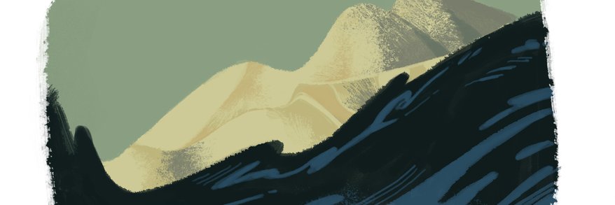 sally banner