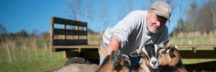 Fat Toad Farm banner