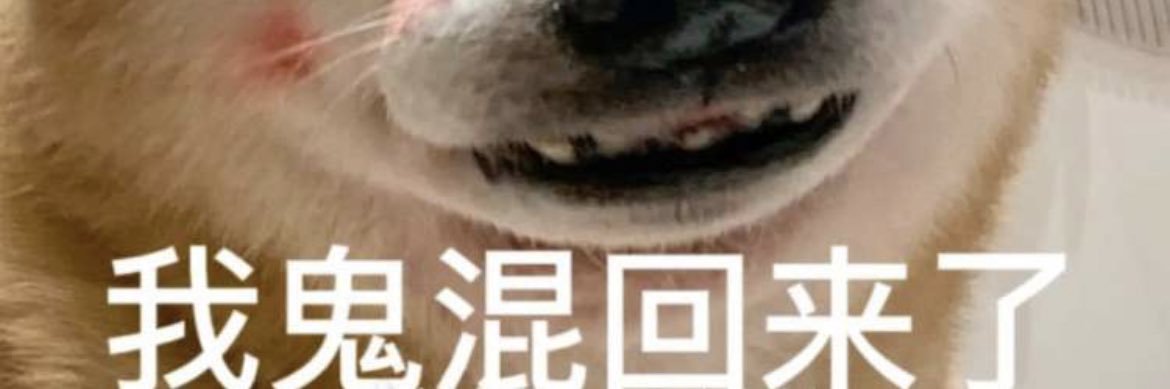 陈小二 banner