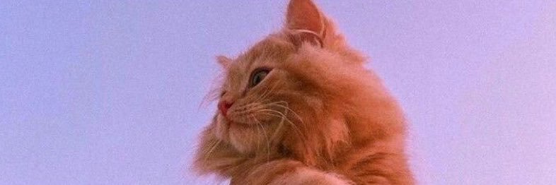 Seherderki's profile banner image