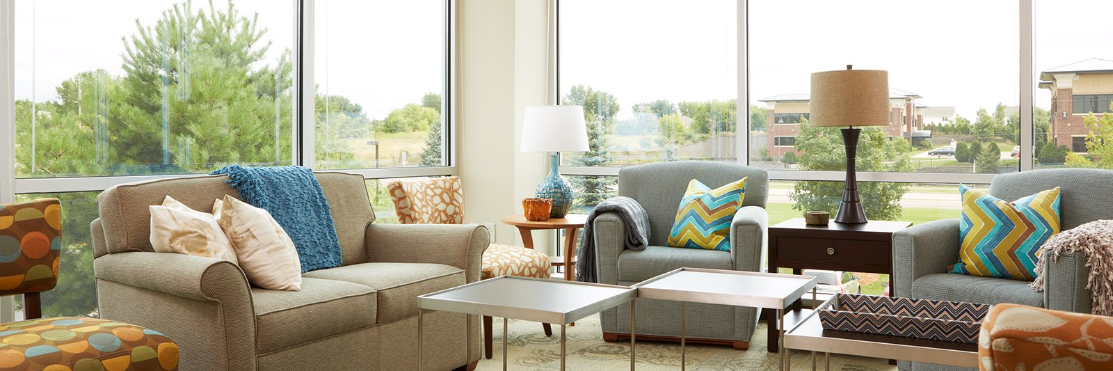 The Emily Program banner