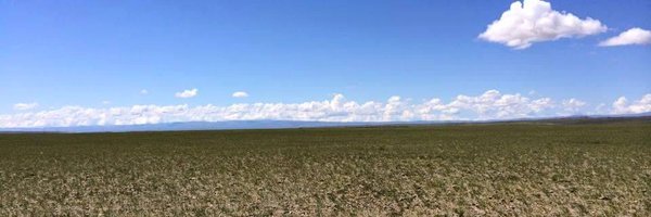 batjarg Profile Banner