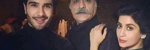 میرہادی banner
