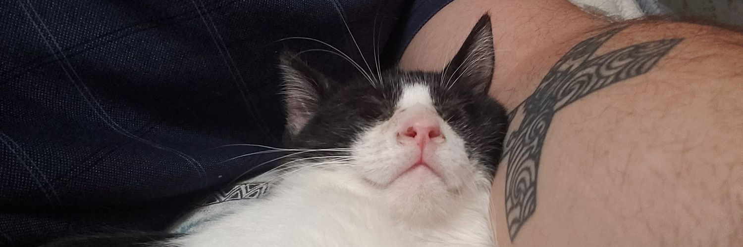 The_SickMatt's profile banner image