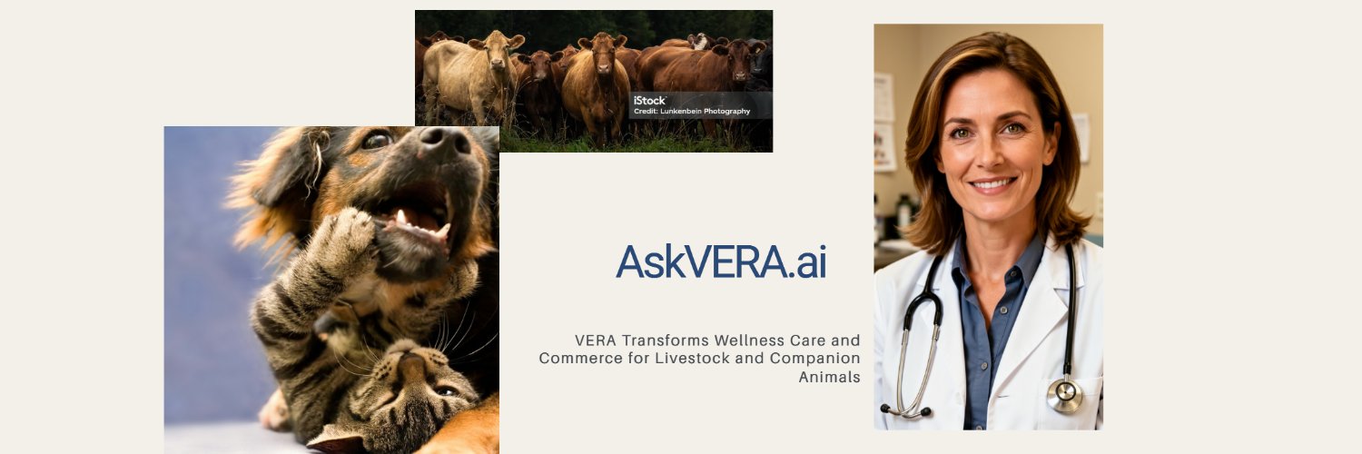 AskVet247's profile banner image