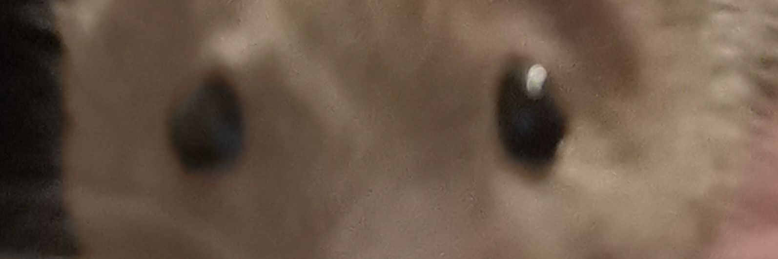 pukker87's profile banner image