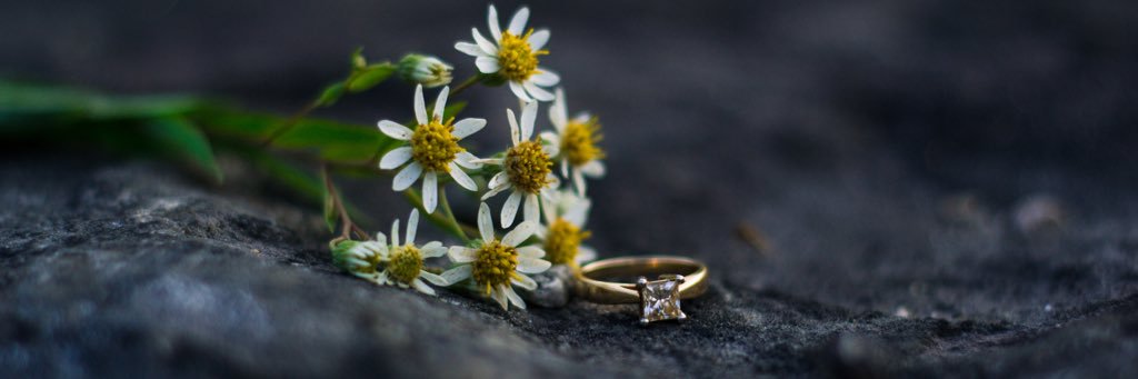 kaileyadams's profile banner image