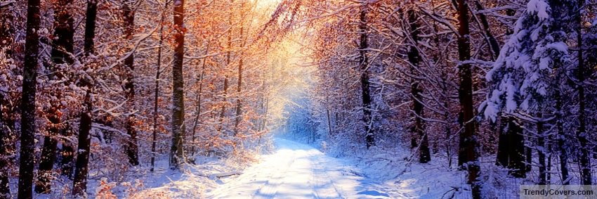 davinciao1's profile banner image