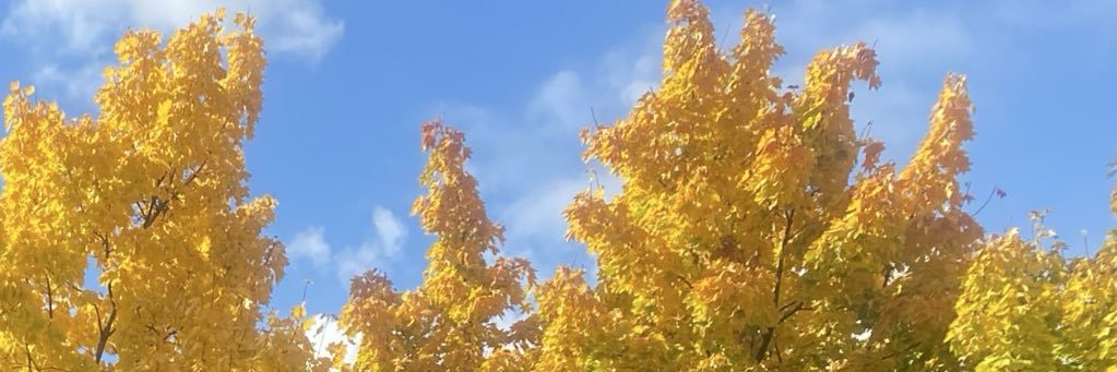 oyahandan's profile banner image