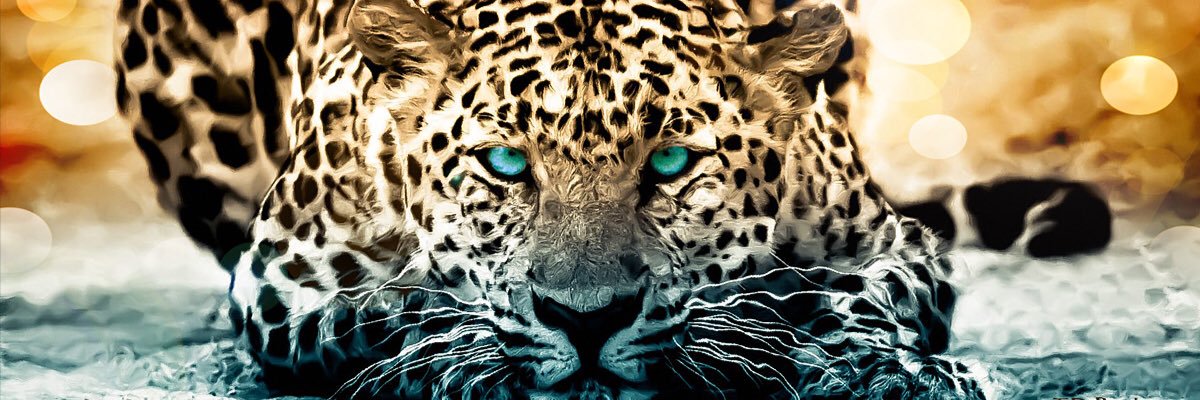 Barna_Bae's profile banner image