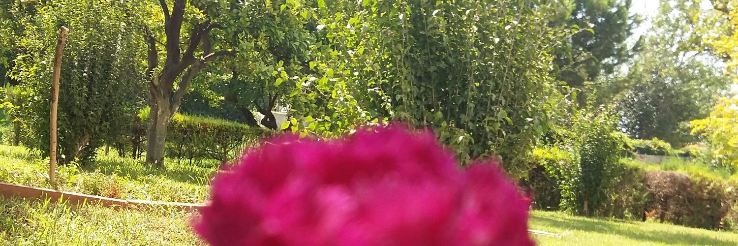 kutsalyagmur's profile banner image