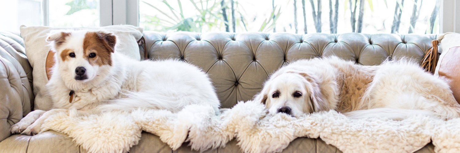 Austin Hendrix banner