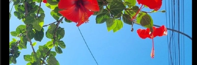 yei_blanco's profile banner image
