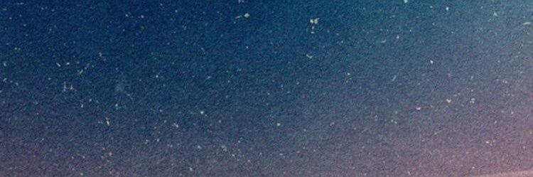 stekenmuff's profile banner image