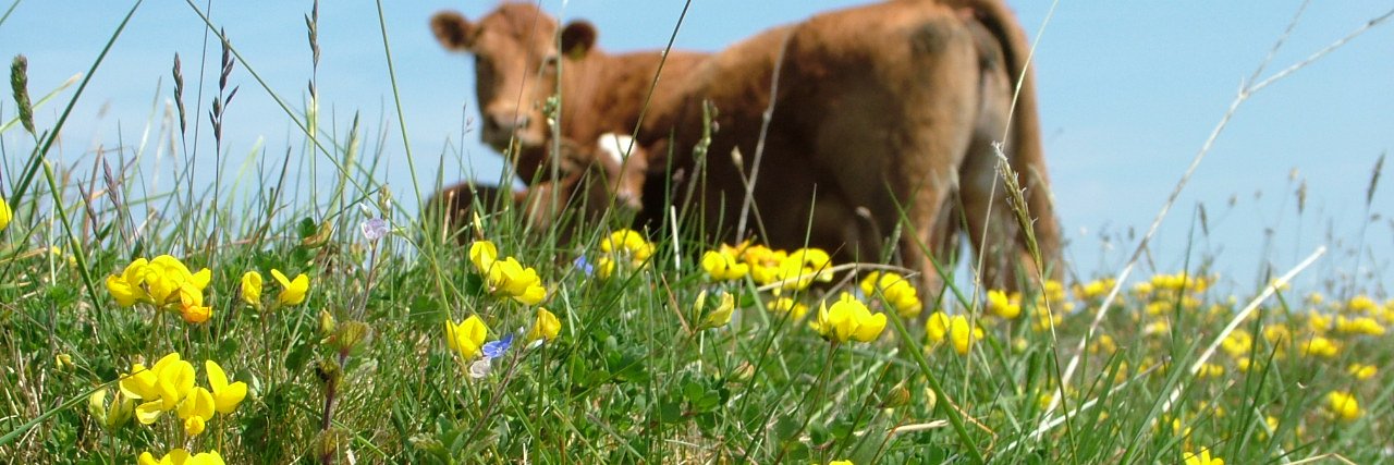 Farming For Nature's banner