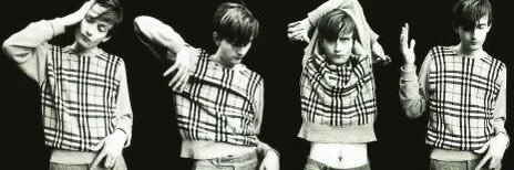julia banner