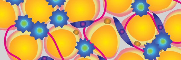 CAPR_AACR Profile Banner