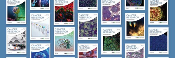 Cancer Research Profile Banner