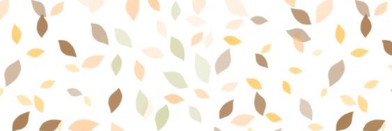 Alejandra Bello banner