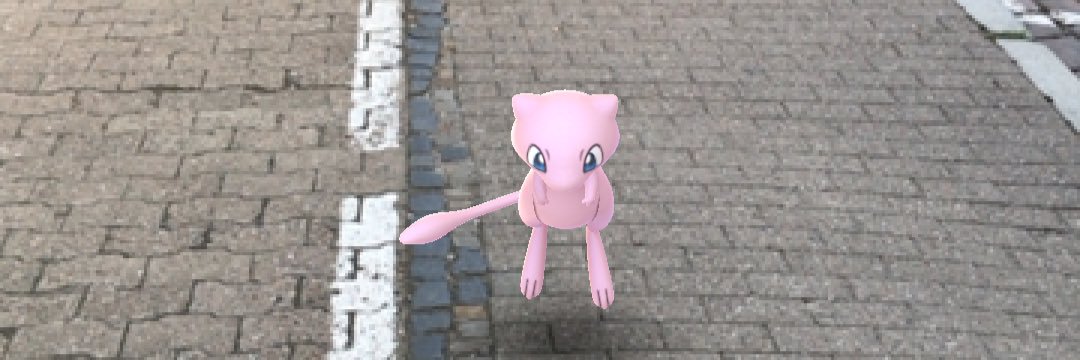 Zook banner