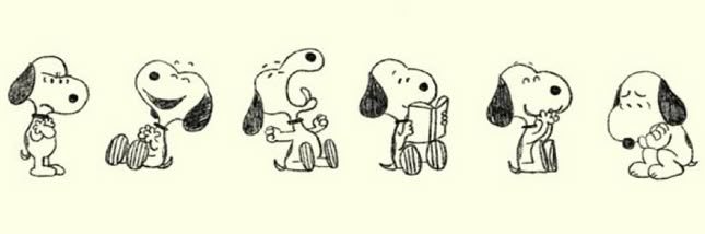 staytinyoon's profile banner image