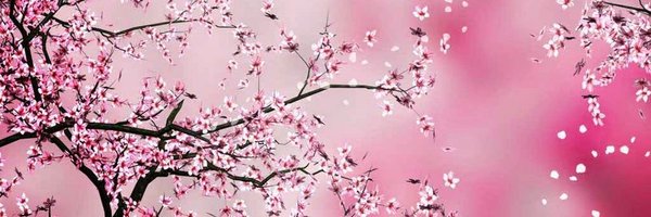 SenecaCounselor Profile Banner