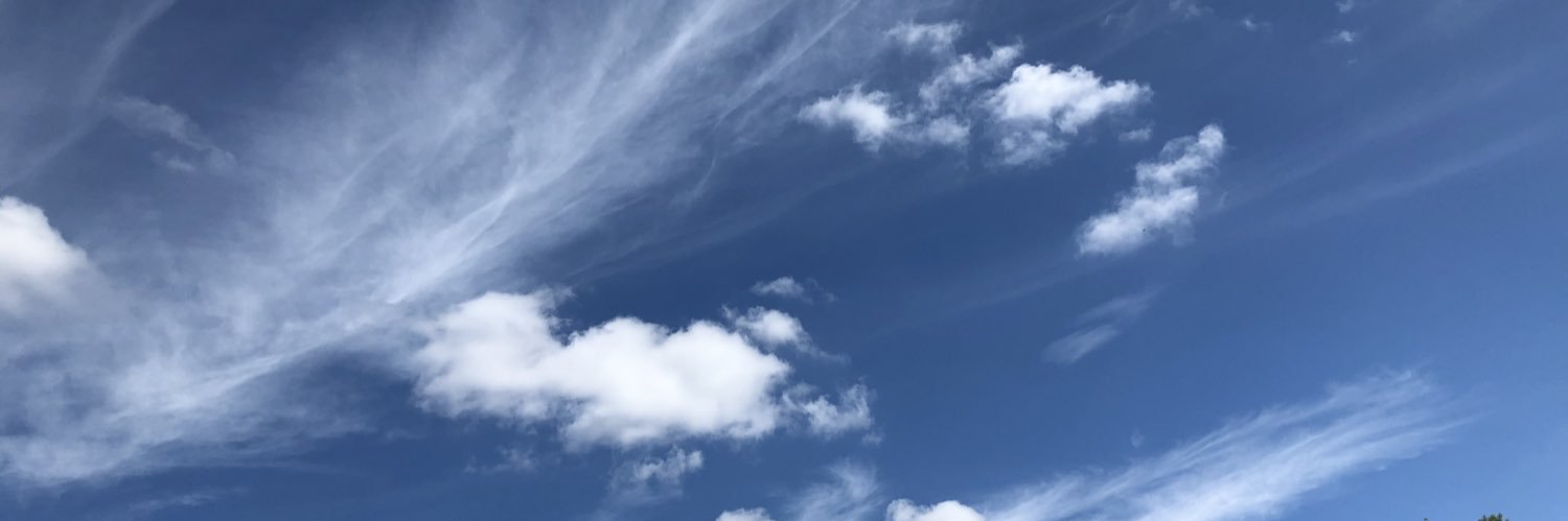 Margaret Robertson banner