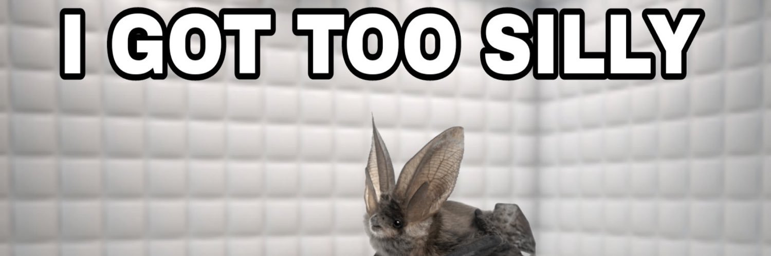 swattus's profile banner image