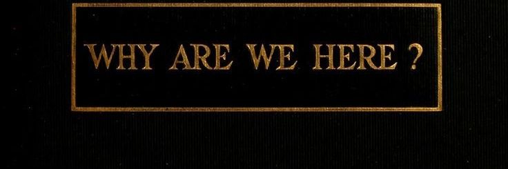 rocker_witch's profile banner image