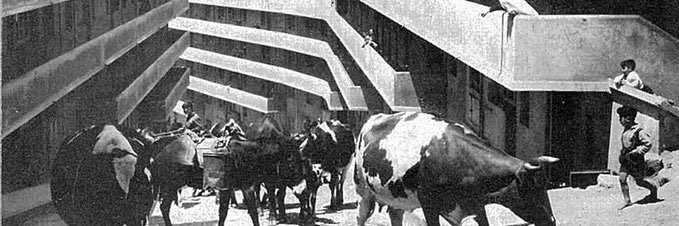 es_chamullo's profile banner image