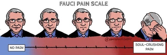 Praveen D. Chatani, MD banner