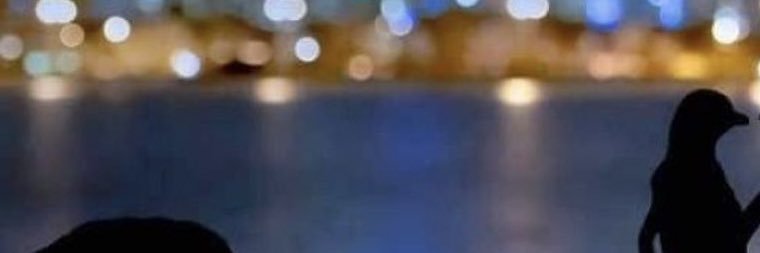 brenax's profile banner image