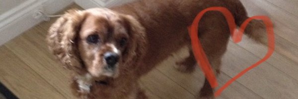 RRCUNITED Profile Banner