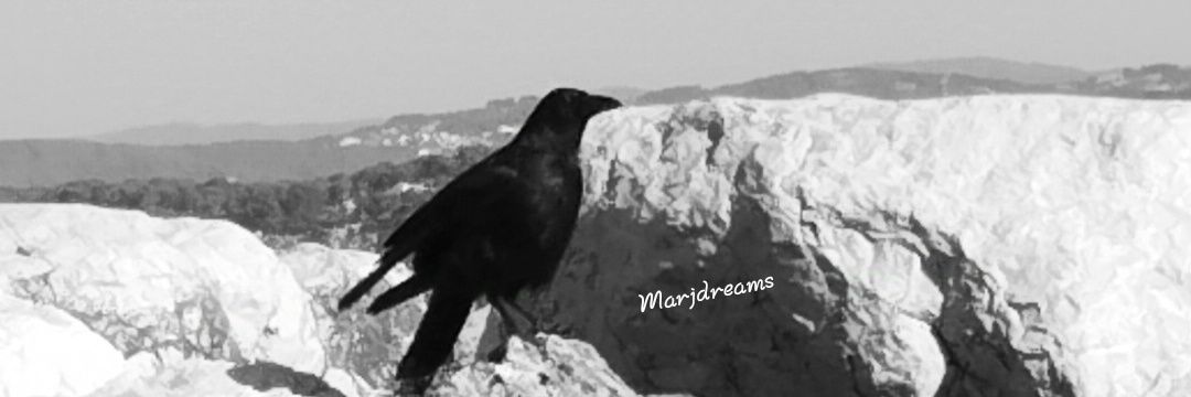 𝓜𝓪𝓻𝓳's banner