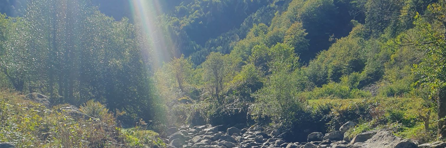 GiroultThomas's profile banner image