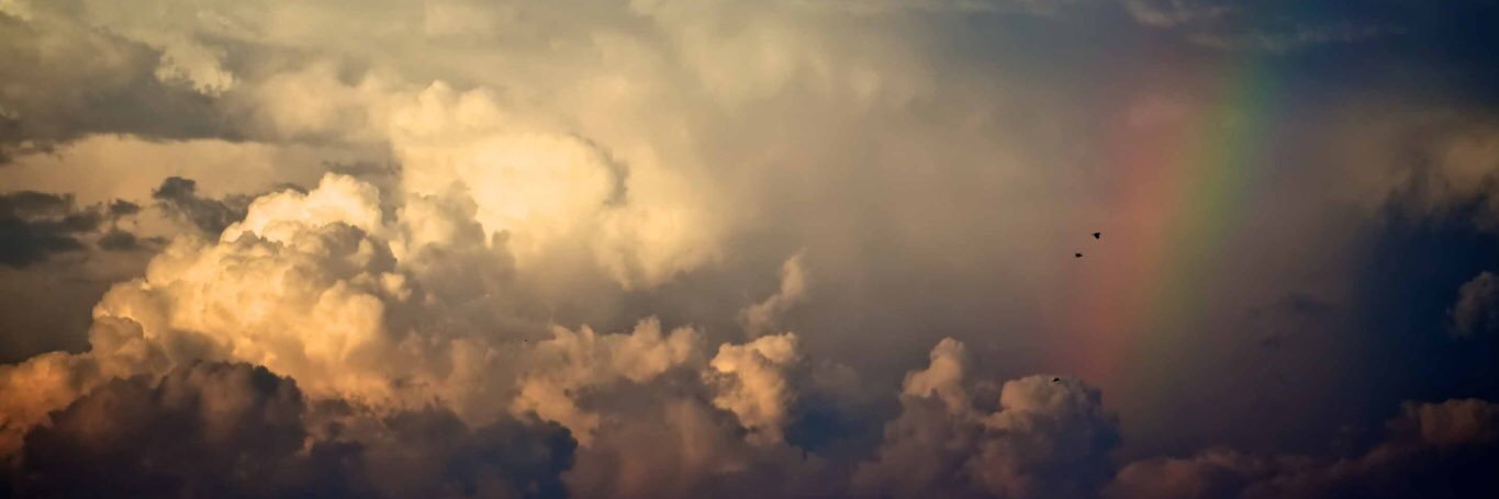 SilverLibrary's profile banner image