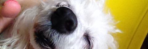 bemartinns's profile banner image