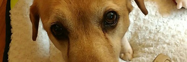 NathanMFranz Profile Banner