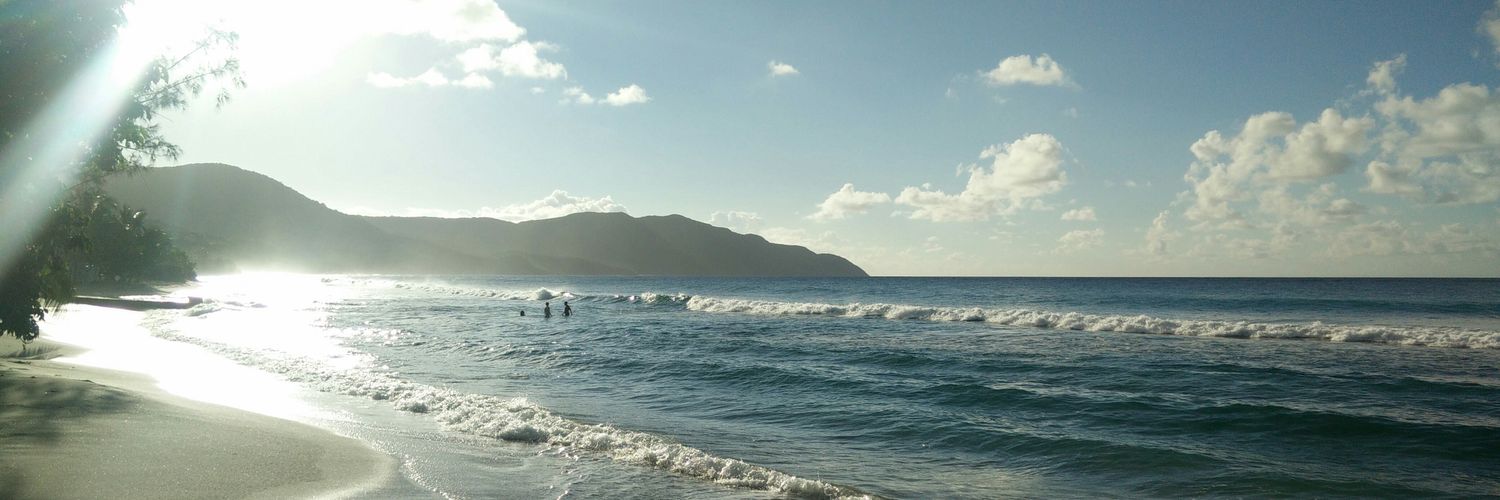 Mikhail Sosonkin banner