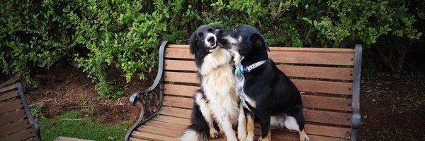 Mietar Profile Banner