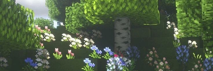 diti_11's profile banner image