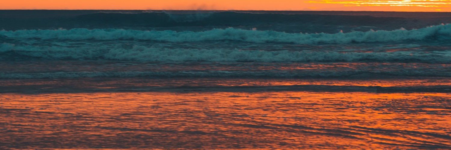 65491654's profile banner image