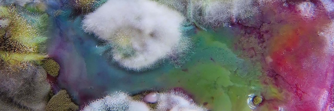 eye banner
