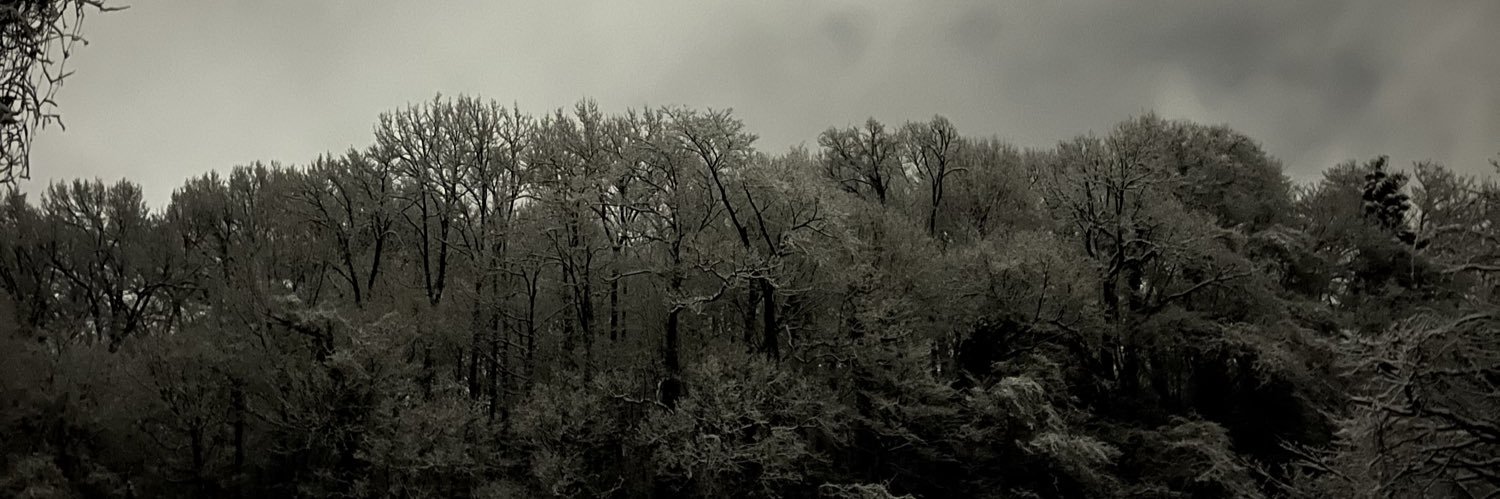 Arkif🌘 banner